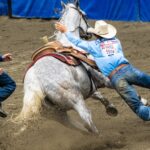 How to fully experience the Mount Isa Rodeo