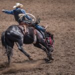 Everything You Need to Know About the Mount Isa Rodeo